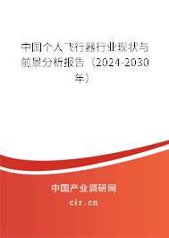 中國個人飛行器行業(yè)現(xiàn)狀與前景分析報告（2024-2030年）