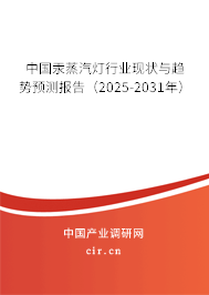 中國(guó)汞蒸汽燈行業(yè)現(xiàn)狀與趨勢(shì)預(yù)測(cè)報(bào)告（2025-2031年）