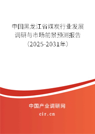 中國黑龍江省煤炭行業(yè)發(fā)展調研與市場前景預測報告（2024-2030年）