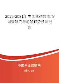 2024-2030年中國焦磷酸市場調查研究與前景趨勢預測報告