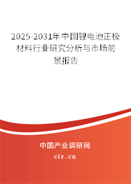 2025-2031年中國鋰電池正極材料行業(yè)研究分析與市場前景報告