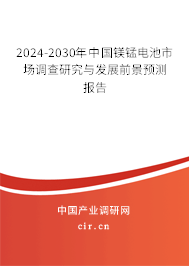 2024-2030年中國(guó)鎂錳電池市場(chǎng)調(diào)查研究與發(fā)展前景預(yù)測(cè)報(bào)告