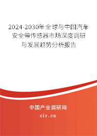 2024-2030年全球與中國汽車安全帶傳感器市場深度調(diào)研與發(fā)展趨勢分析報(bào)告