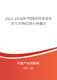 2025-2031年中國絨線發(fā)展現(xiàn)狀與市場前景分析報告