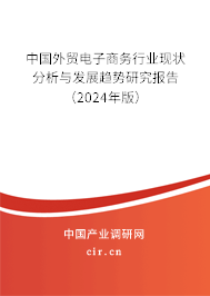 中國外貿電子商務行業(yè)現(xiàn)狀分析與發(fā)展趨勢研究報告（2024年版）