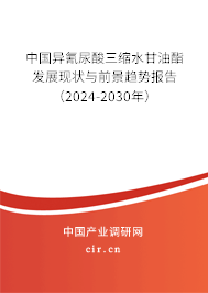 中國異氰尿酸三縮水甘油酯發(fā)展現(xiàn)狀與前景趨勢報告（2024-2030年）