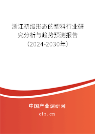 浙江初級形態(tài)的塑料行業(yè)研究分析與趨勢預測報告（2024-2030年）