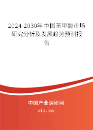 2024-2030年中國苯甲酸市場研究分析及發(fā)展趨勢預測報告