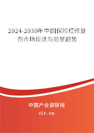 2024-2030年中國保險杠修復劑市場現(xiàn)狀與前景趨勢