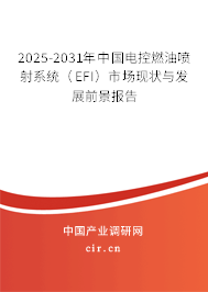 2024-2030年中國(guó)電控燃油噴射系統(tǒng)（EFI）市場(chǎng)現(xiàn)狀與發(fā)展前景報(bào)告