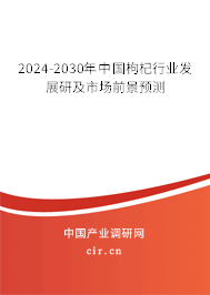 2024-2030年中國(guó)枸杞行業(yè)發(fā)展研及市場(chǎng)前景預(yù)測(cè)