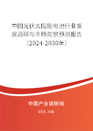 中國光伏太陽能電池行業(yè)發(fā)展調(diào)研與市場前景預(yù)測報告（2024-2030年）