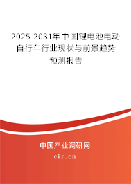 2024-2030年中國鋰電池電動自行車行業(yè)現(xiàn)狀與前景趨勢預測報告