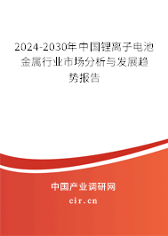 2024-2030年中國(guó)鋰離子電池金屬行業(yè)市場(chǎng)分析與發(fā)展趨勢(shì)報(bào)告