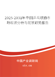 2024-2030年中國乒乓球拍市場現(xiàn)狀分析與前景趨勢報告