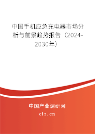 中國(guó)手機(jī)應(yīng)急充電器市場(chǎng)分析與前景趨勢(shì)報(bào)告（2024-2030年）