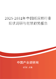 2025-2031年中國紙尿褲行業(yè)現(xiàn)狀調研與前景趨勢報告