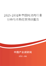 2025-2031年中國(guó)電池片行業(yè)分析與市場(chǎng)前景預(yù)測(cè)報(bào)告