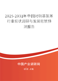 2025-2031年中國對(duì)硝基氯苯行業(yè)現(xiàn)狀調(diào)研與發(fā)展前景預(yù)測(cè)報(bào)告