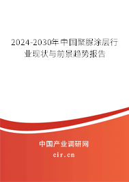 2024-2030年中國聚脲涂層行業(yè)現(xiàn)狀與前景趨勢報告