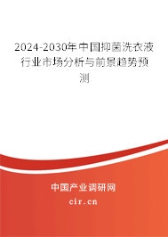 2024-2030年中國抑菌洗衣液行業(yè)市場分析與前景趨勢預(yù)測