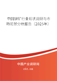 中國銻礦行業(yè)現(xiàn)狀調(diào)研與市場前景分析報告（2025年）