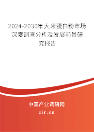 2024-2030年大米蛋白粉市場深度調(diào)查分析及發(fā)展前景研究報(bào)告