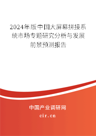 2024年版中國大屏幕拼接系統(tǒng)市場專題研究分析與發(fā)展前景預測報告