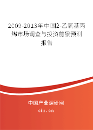 2009-2013年中國2-乙氧基丙烯市場調查與投資前景預測報告