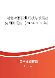 湖北啤酒行業(yè)現(xiàn)狀與發(fā)展趨勢(shì)預(yù)測(cè)報(bào)告（2024-2030年）