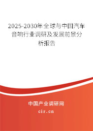 2025-2030年全球與中國汽車音響行業(yè)調(diào)研及發(fā)展前景分析報告