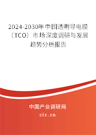 2024-2030年中國透明導(dǎo)電膜（TCO）市場深度調(diào)研與發(fā)展趨勢分析報告