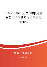 2024-2030年全球與中國(guó)小額貸款市場(chǎng)現(xiàn)狀及發(fā)展前景預(yù)測(cè)報(bào)告