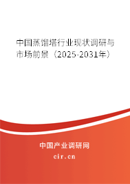 中國蒸餾塔行業(yè)現(xiàn)狀調(diào)研與市場前景（2025-2031年）