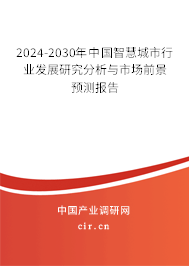 2024-2030年中國(guó)智慧城市行業(yè)發(fā)展研究分析與市場(chǎng)前景預(yù)測(cè)報(bào)告