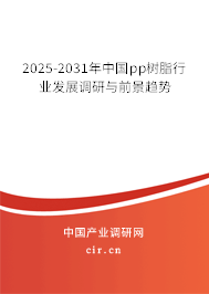 2025-2031年中國pp樹脂行業(yè)發(fā)展調(diào)研與前景趨勢