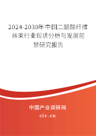 2024-2030年中國(guó)二醋酸纖維絲束行業(yè)現(xiàn)狀分析與發(fā)展前景研究報(bào)告