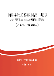 中國非輪胎橡膠制品市場現(xiàn)狀調(diào)研與趨勢預(yù)測報告（2024-2030年）