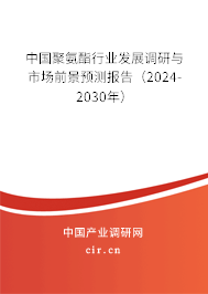 中國聚氨酯行業(yè)發(fā)展調(diào)研與市場前景預(yù)測報告（2024-2030年）