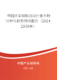 中國開采輔助活動行業(yè)市場分析與趨勢預(yù)測報告（2024-2030年）