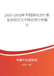 2024-2030年中國鎂電池行業(yè)發(fā)展研究與市場前景分析報告