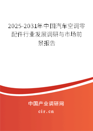 2024-2030年中國汽車空調(diào)零配件行業(yè)發(fā)展調(diào)研與市場前景報告