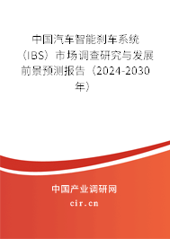 中國汽車智能剎車系統(tǒng)（IBS）市場調(diào)查研究與發(fā)展前景預(yù)測報告（2024-2030年）