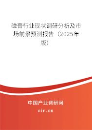 磁膏行業(yè)現(xiàn)狀調(diào)研分析及市場(chǎng)前景預(yù)測(cè)報(bào)告（2025年版）