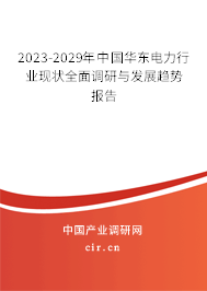 2023-2029年中國華東電力行業(yè)現(xiàn)狀全面調(diào)研與發(fā)展趨勢報告