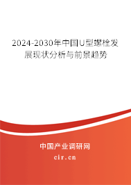 2024-2030年中國U型螺栓發(fā)展現(xiàn)狀分析與前景趨勢