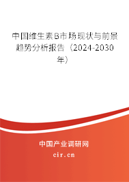 中國(guó)維生素B市場(chǎng)現(xiàn)狀與前景趨勢(shì)分析報(bào)告（2024-2030年）