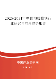 2025-2031年中國地暖模塊行業(yè)研究與前景趨勢報告