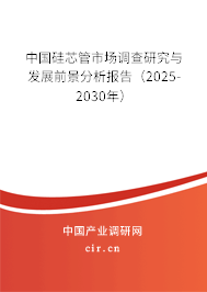 中國硅芯管市場調(diào)查研究與發(fā)展前景分析報告（2025-2030年）