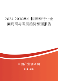 2024-2030年中國裹粉行業(yè)全面調(diào)研與發(fā)展趨勢(shì)預(yù)測(cè)報(bào)告